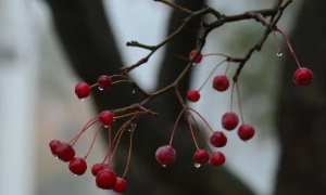 У Харкові перед генконсульством РФ вивісили провокаційний напис про окупований Крим