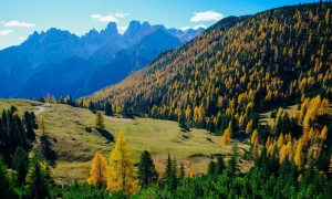 Украинский документальный фильм впервые попал на Netflix