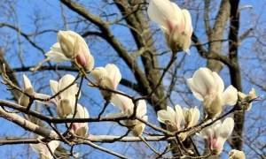 Найцікавіші події Києва 2-4 лютого