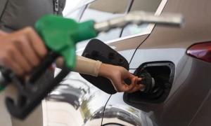 Фото: у шкільному підручнику виявили фейки, що суперечать науковим дослідженням