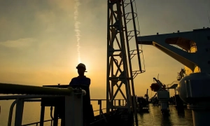 На узбережжя Орегону вимило рідкісну 45-кілограмову «місячну» рибу. Її заморозять і будуть вивчати