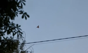 Відео: українські бійці одним пострілом знищили російський «Панцир-С1»