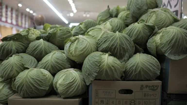 Капуста в Україні за рік подешевшала вдвічі, яка актуальна ціна