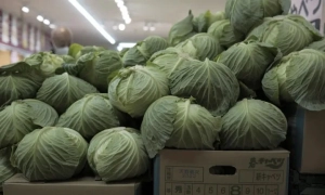 В НАТО визнали Керченський міст незаконним