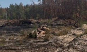 У колишньої омбудсменки Денісової виявили підозрілі активи на десятки мільйонів