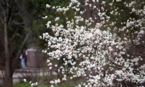 У Мінспорту повідомили, яких висновків дійшли за результатами Олімпіади у Токіо