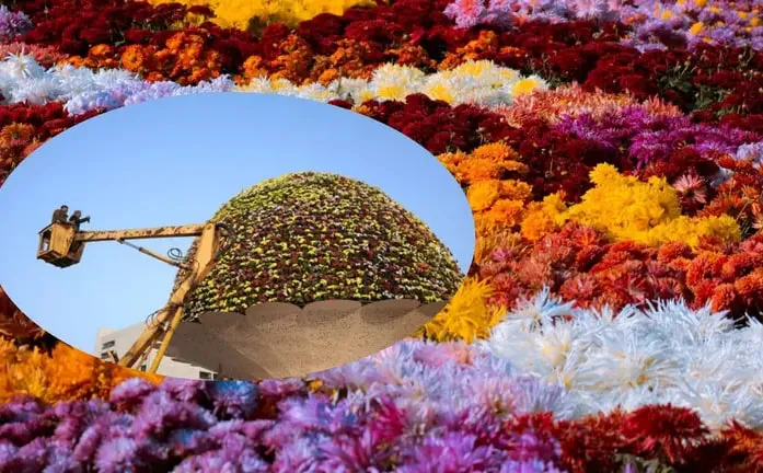 В Індії створили рекордну інсталяцію з понад 11 тисяч хризантем