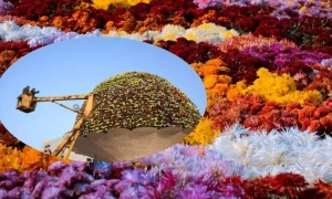 Данія відправить у Червоне море свій фрегат