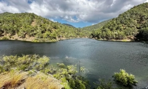 Trump refused to back a ceasefire plan with Iran — CNN