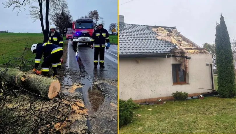 Сильный ветер в Польше оставил без света десятки тысяч человек (фото/видео)