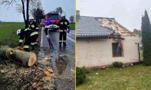 У Румунії судитимуть українців за розсилку російських вибухових посилок