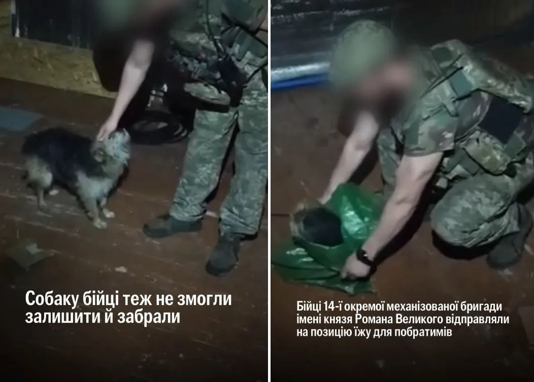 Бійці 14-ї бригади евакуювали кота і собаку з передової за допомогою дрона