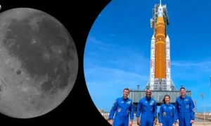 Угорські фермери влаштували акцію протесту біля українського кордону  