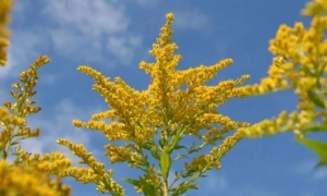 На Донбасі підірвалась вантажівка з українськими військовими