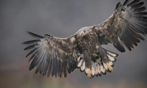 Росія 72 рази атакувала редакції українських медіа