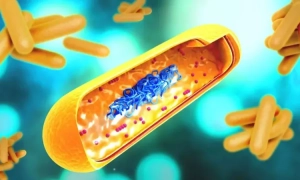 Глава МЗС Литви про дзвінки шойгу та «брудну бомбу»: Потрібно бути готовими до ескалації війни