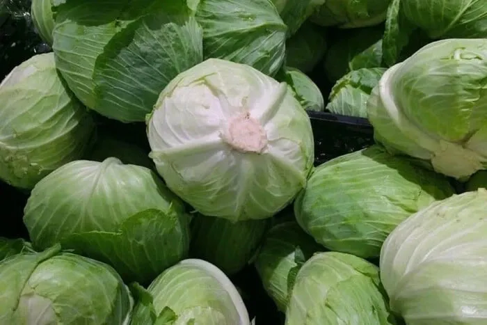 В Україні різко впали ціни на капусту, яка актуальна ціна
