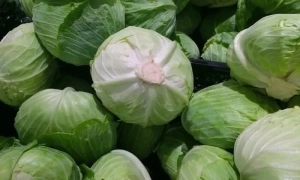 НАБУ викрило мільйонні зловживання при будівництві полігону «Широкий лан»