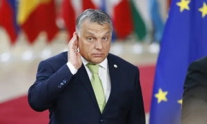 Європол викрив мережу переправлення мігрантів до Британії