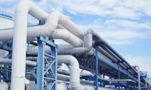 Французькі школи готуються до скорочення учнів