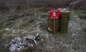 Коли відзначають День вишиванки у 2025 році