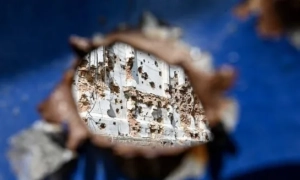 Білорусь переносить активну фазу військових навчань на вересень