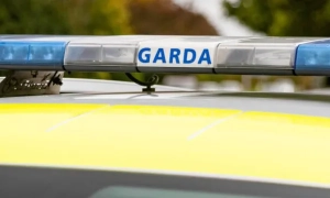 Вірменія та США проведуть спільні військові навчання