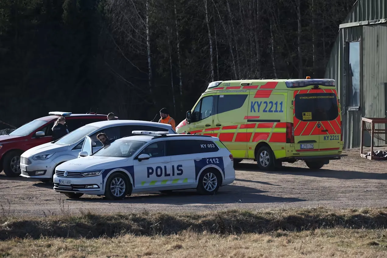 У Фінляндії розкрили нові подробиці про знайдений дрон — Yle