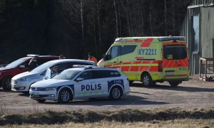 Рас-эль-Хайма установила рекорд Гиннеса фениксом из дронов на Новый год