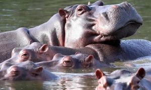 Москвичі масово купують паперові карти через проблеми з інтернетом