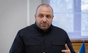 A rare black leopard was born at a zoo in the Kyiv region (video)