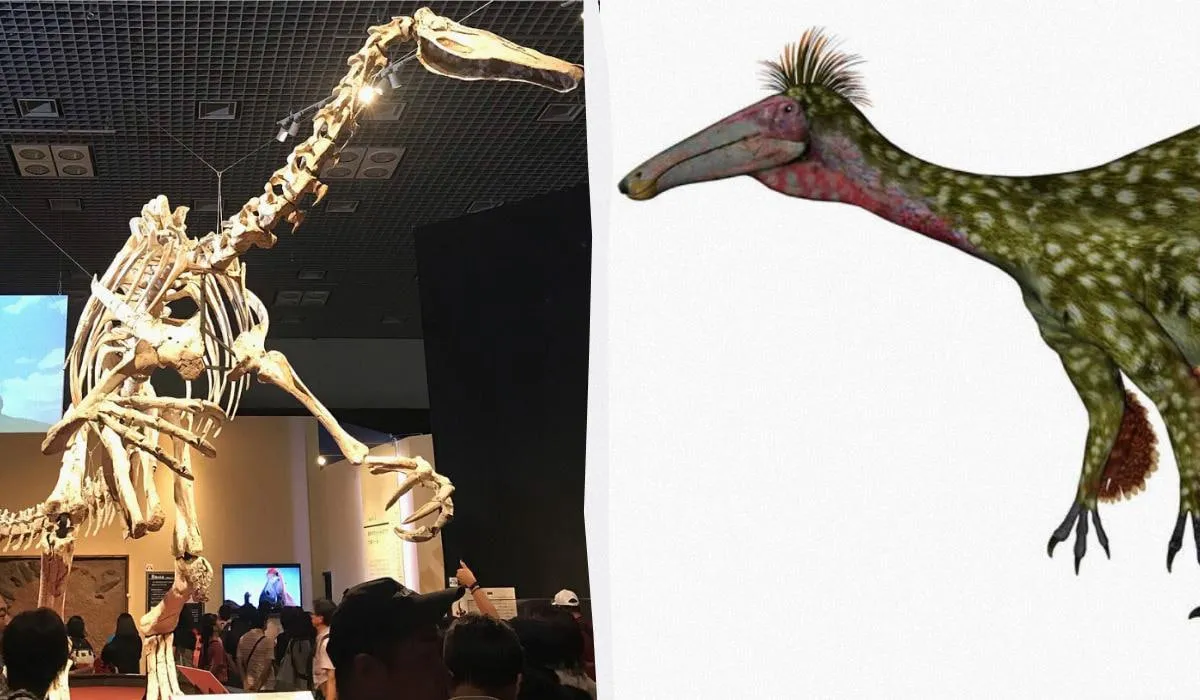 В Аргентине обнаружили останки гигантского динозавра