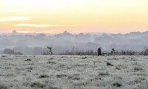 Зеленський анонсував збільшення стипендій та можливе запровадження зимової вступної кампанії