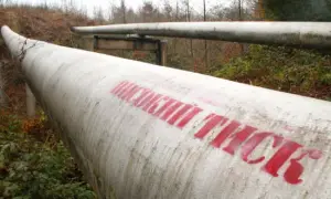 Нафтопровід «Дружба» знову заповнюють, нафту до Словаччини очікують у четвер