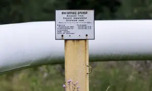 Словаччина почала отримувати російську нафту через трубопровід Дружба