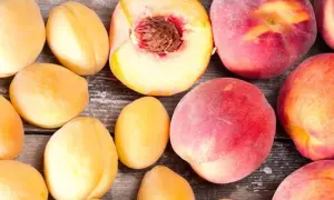 Весняні морози можуть підняти ціни на фрукти в Україні