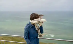 Штормовий вітер і нічні морози, синоптики попередили про небезпечну погоду 24 квітня