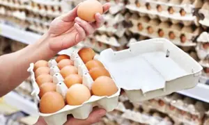 Україна встановила 5-річний рекорд експорту яєць