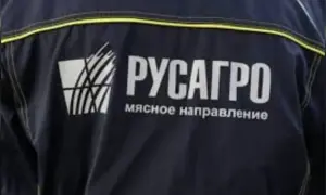 СДС захватили штаб сил безопасности в городе Маркада на северо-востоке Сирии