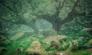Аналітики пояснили, як деспотичний підхід Кремля до мобілізації вплине на росіян