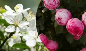 Садовый заявил о попытке застроить стратегически важные территории аэропорта