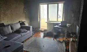 Уряд спростив техогляд для міжнародних перевізників