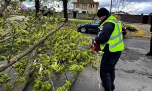 В Сумской области без электричества осталось большое количество потребителей — известны причины