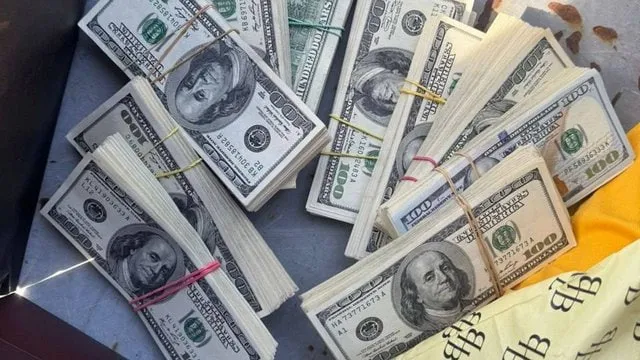 At the border, a service dog found nearly 4 million hryvnias in cash on a woman