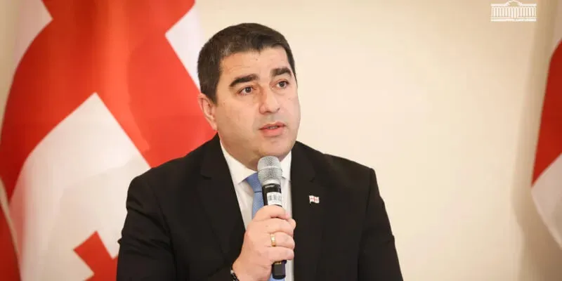 Georgia will not cede territory in order to join the EU — Speaker of Parliament