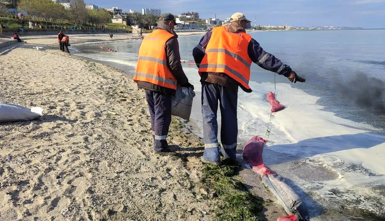 Після атаки олія забруднила узбережжя Чорноморська та зашкодила птахам