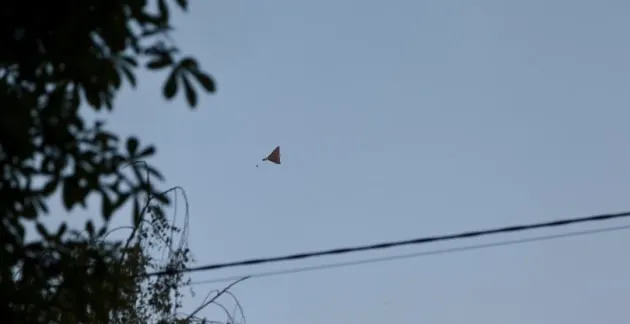 «Шахеды» начали маневрировать при приближении дронов-перехватчиков — советник Минобороны