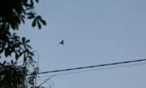 ЗСУ ліквідували ще 970 загарбників за добу