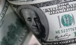 На Львівщині жінка отримала опіки під час пожежі сухостою — ДСНС