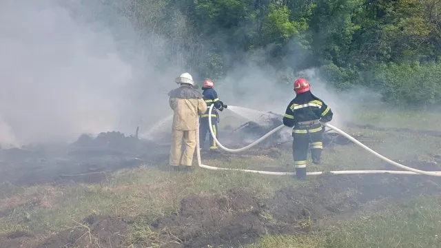 На Рівненщині спалахнула масштабна лісова пожежа